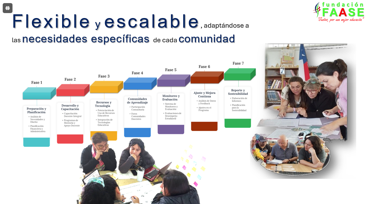 Fases del programa